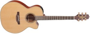 Takamine Pro Series 3 Takamine Pro Series 3