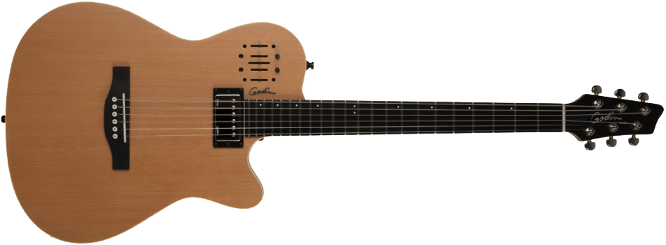 Godin A6