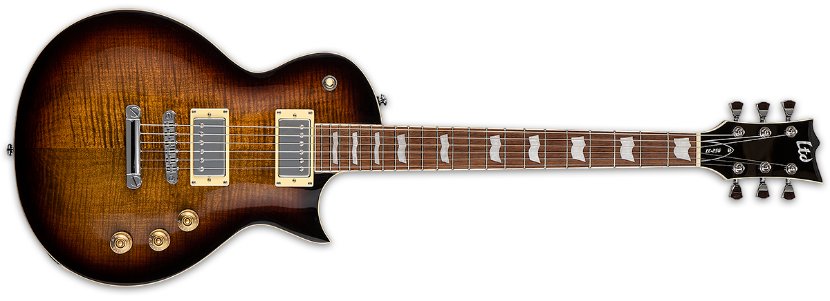 ESP-LTD EC-256FM