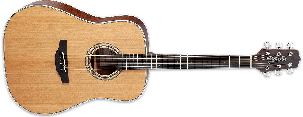 Takamine GD20 Acoustic Guitar