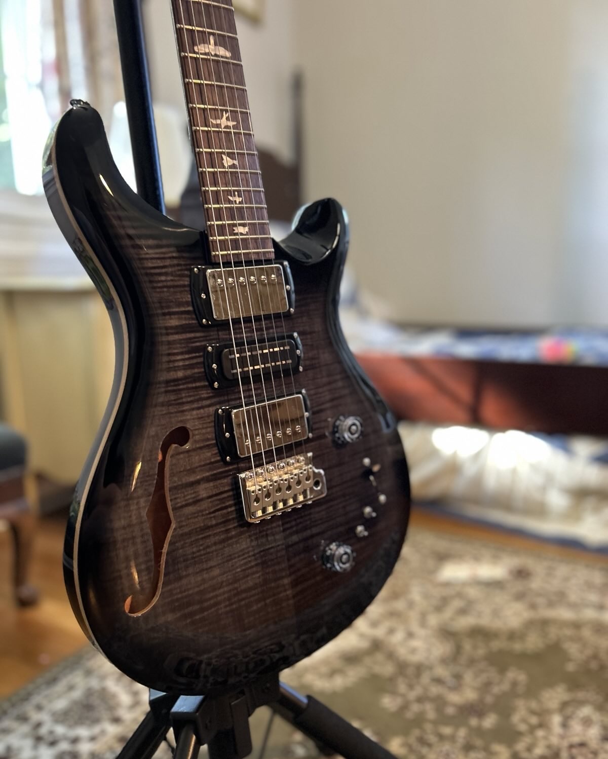 PRS SE Special Semi-Hollow Electric Guitar PRS SE Special Semi-Hollow Electric Guitar