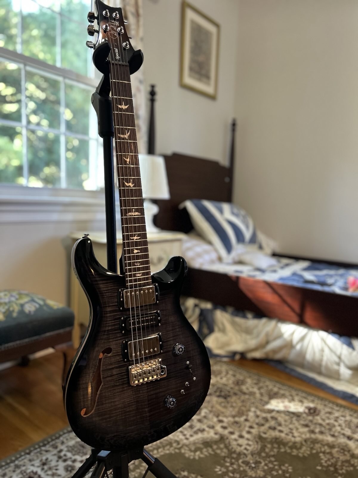 PRS SE Special Semi-Hollow Electric Guitar PRS SE Special Semi-Hollow Electric Guitar